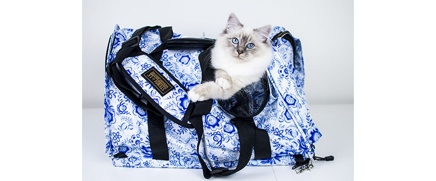 Pet Carriers
